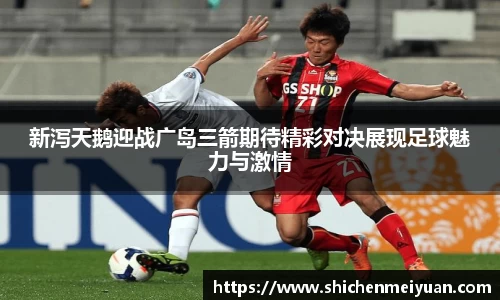 新泻天鹅迎战广岛三箭期待精彩对决展现足球魅力与激情