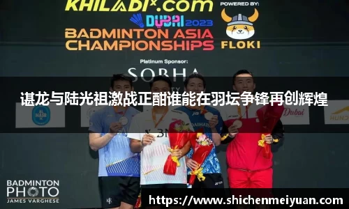 谌龙与陆光祖激战正酣谁能在羽坛争锋再创辉煌